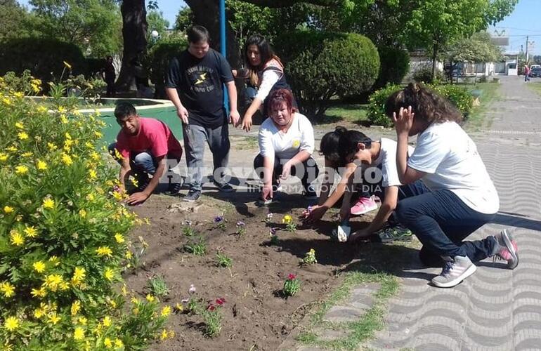 Imagen de En Plaza San Martín: Jornada de embellecimiento de espacios públicos