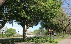 Foto: Municipalidad de Arroyo Seco.