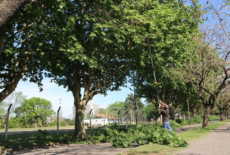 Foto: Municipalidad de Arroyo Seco.