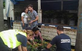 Foto: Municipalidad