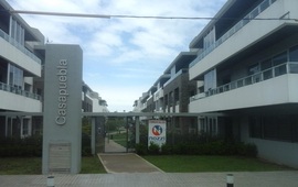 Foto: Nicol&aacute;s Trabaina