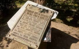 Contacto AD. Si quer&eacute;s enviar tu foto hacelo por WhatsApp al 3416570835