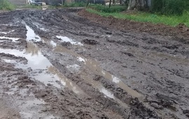 Si quer&eacute;s enviarnos tu foto, comunicate por WhatsApp al 3416570835