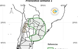 Foto: captura de pantalla SMN