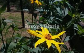 Sol a pleno durante todo este lunes.