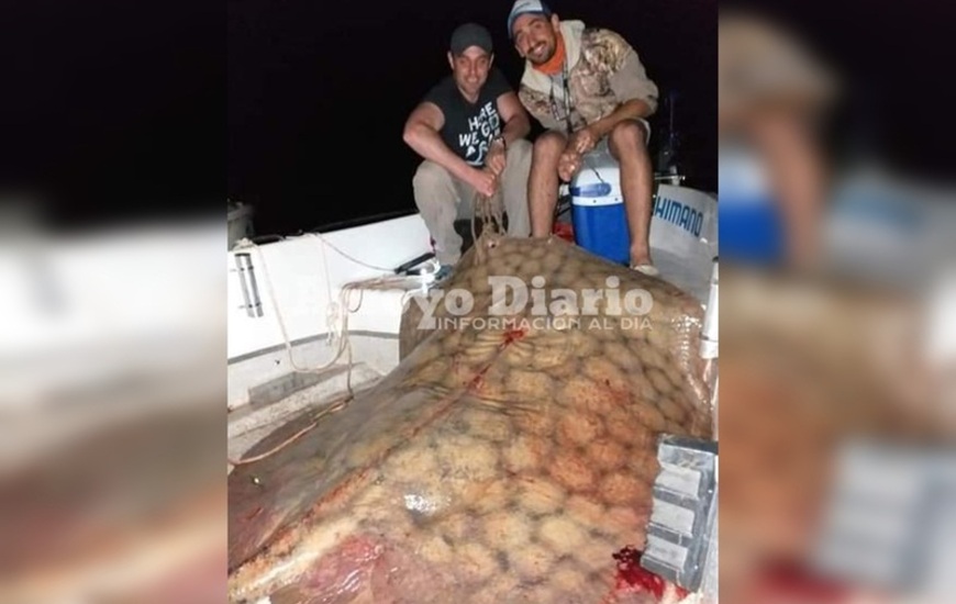 El pez ten&iacute;a 1,70 metros de di&aacute;metro.