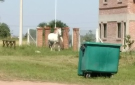 Si quer&eacute;s comunicarte con Arroyo Diario, llama al 341 6570835