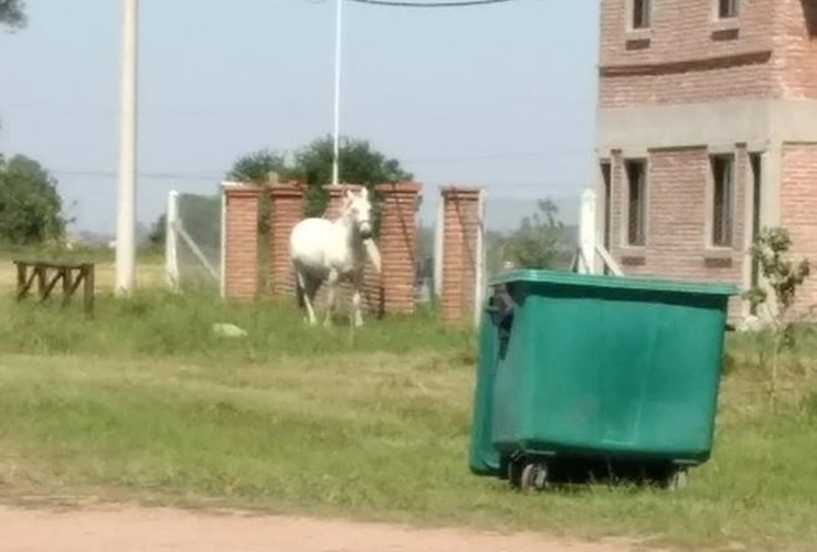 Si querés comunicarte con Arroyo Diario, llama al 341 6570835