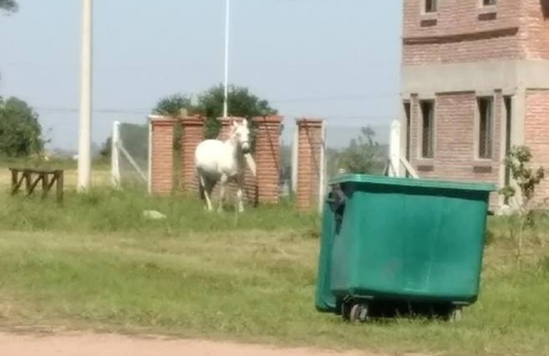 Si querés comunicarte con Arroyo Diario, llama al 341 6570835