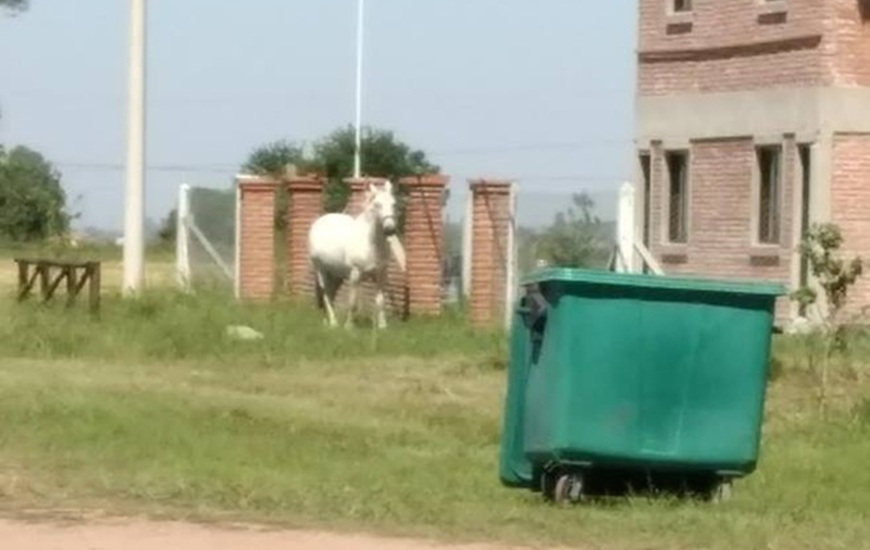 Si quer&eacute;s comunicarte con Arroyo Diario, llama al 341 6570835