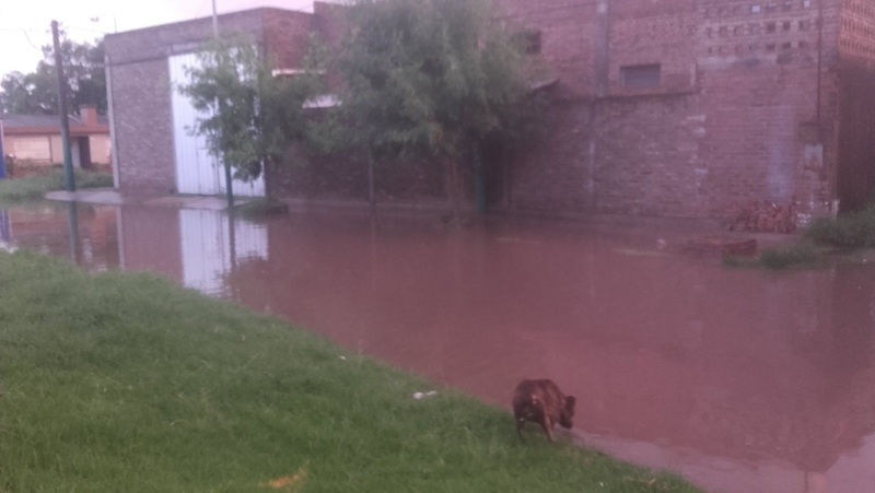 Imagen de Un reclamo que se repite, Alejandro G&oacute;mez al 1400