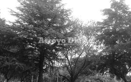 Mañana gris. Este jueves prometía reservar el cielo lluvioso y el aire fresco.