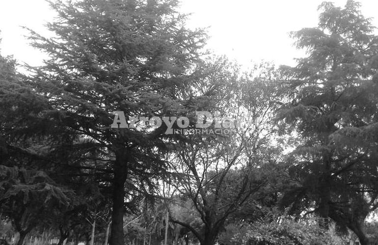 Ma&ntilde;ana gris. Este jueves promet&iacute;a reservar el cielo lluvioso y el aire fresco.