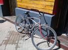 Imagen de Iba en bicicleta por la vereda y chocó a una señora