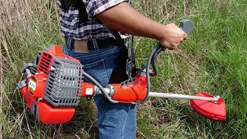 Foto: Imagen Ilustrativa