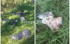 Las fotos llegaron a nuestro WhatsApp 341 6570835