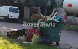El contenedor, est&aacute; por calle Lisandro de la Torre al 700.