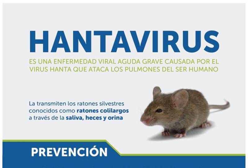 Imagen de Hantavirus; cuáles son los síntomas y las medidas de prevención a tener en cuenta