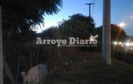 Imagen de Reclamo por presencia de roedores y el miedo al contagio de Hantavirus