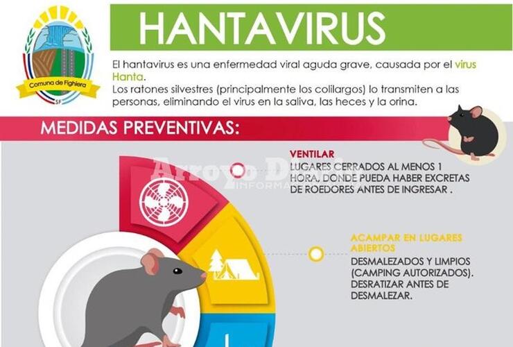 Imagen de Hantavirus: La Comuna de Fighiera informa sobre medidas preventivas