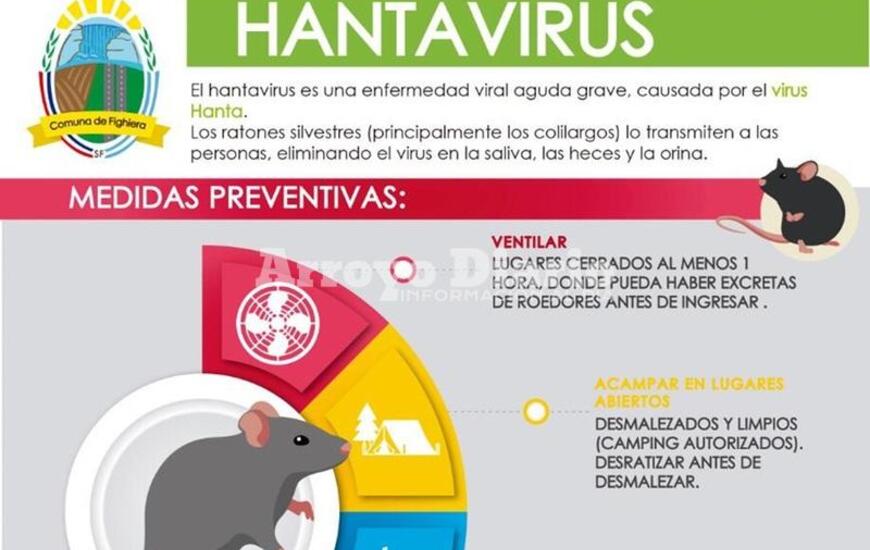 Imagen de Hantavirus: La Comuna de Fighiera informa sobre medidas preventivas
