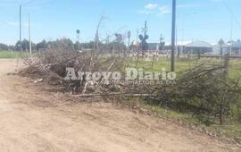 Un desconocido arrojó residuo vegetal en la vía pública.