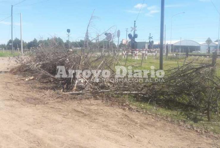 Un desconocido arrojó residuo vegetal en la vía pública.