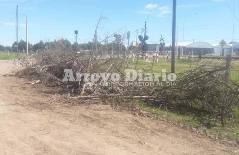 Un desconocido arrojó residuo vegetal en la vía pública.