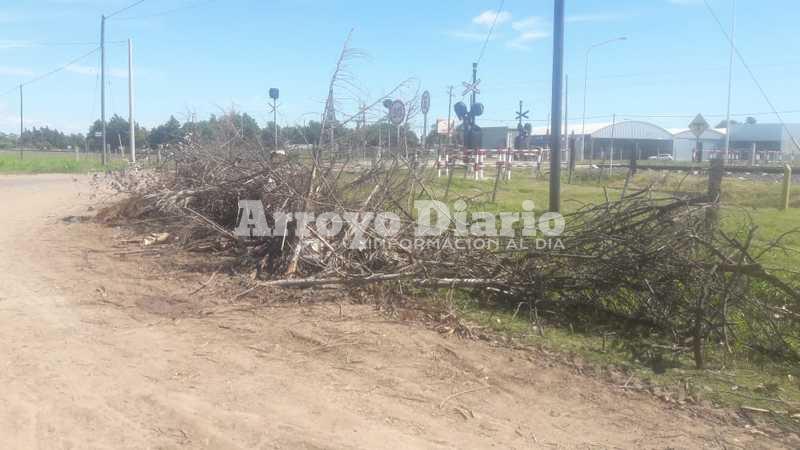 Un desconocido arroj&oacute; residuo vegetal en la v&iacute;a p&uacute;blica.