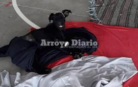 Imagen de Final de la jornada: Se realizaron 95 cirug&iacute;as