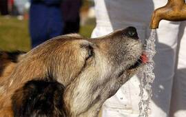 Foto: Imagen Ilustrativa