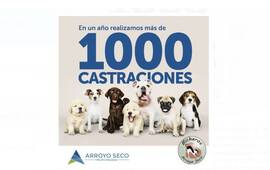 Imagen de En un año se realizaron más de 1000 castraciones