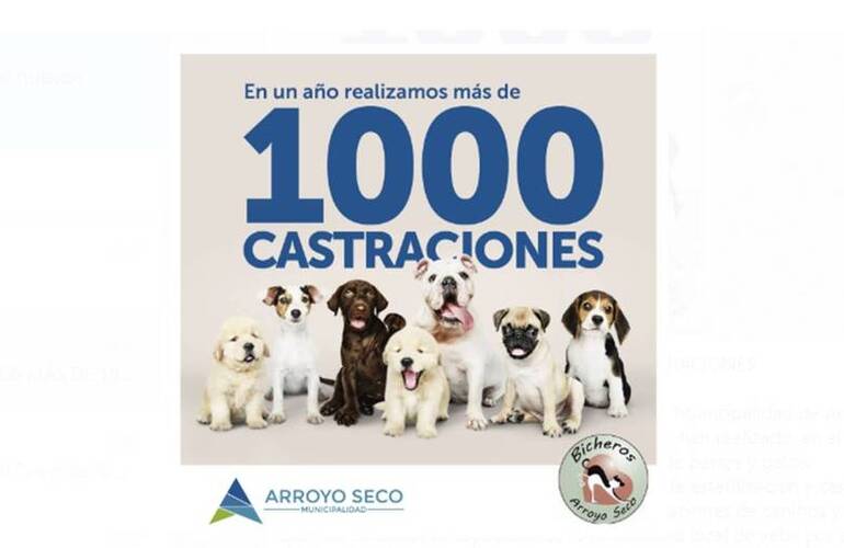 Imagen de En un año se realizaron más de 1000 castraciones