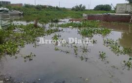 El nivel del agua no genera alerta aun para los vecinos