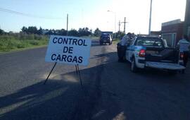 Imagen de Detectaron cami&oacute;n con exceso de peso