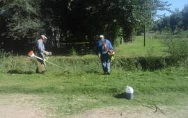 Imagen de Limpieza y desmalezamiento en Playa Hermosa