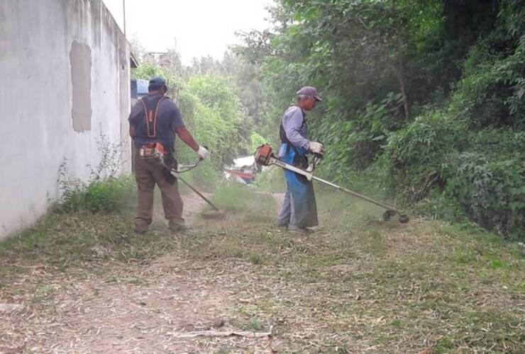 Imagen de Tareas de mantenimiento en el renovado puerto local