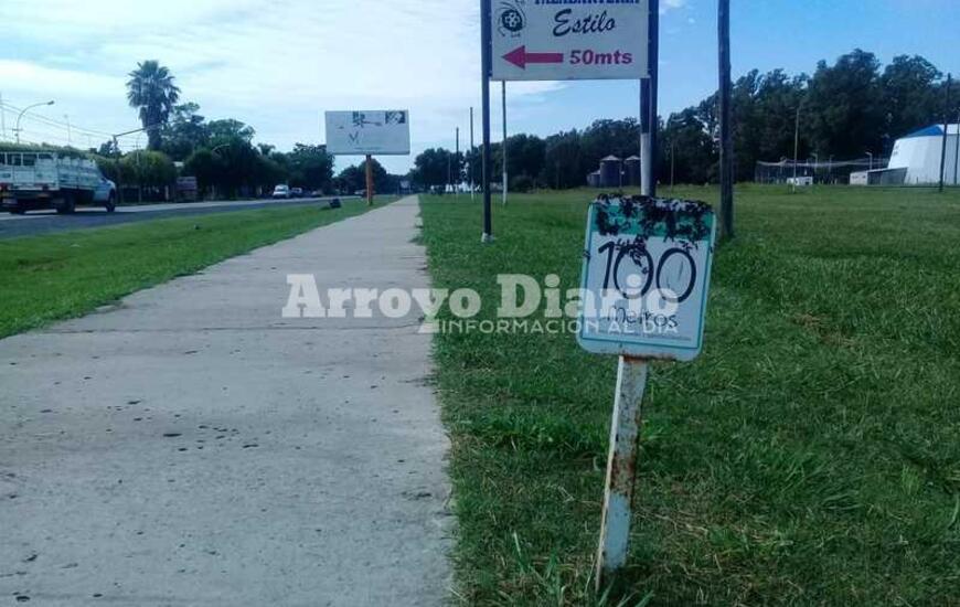 El panal de encuentra en uno de los carteles del circuito.