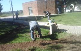 Imagen de Embellecimiento en los espacios p&uacute;blicos del G&uuml;emes