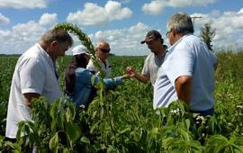 Representando a la municipalidad. Renata Luna y &Aacute;ngel Bonicchi viajaron para participar de la actividad.