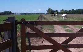 Foto: Imagen Ilustrativa