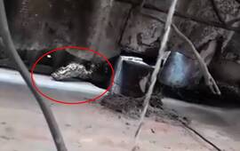 Foto: captura de pantalla video