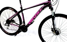 La bicicleta es de similares caracter&iacute;sticas a la que ilustra esta publicaci&oacute;n.