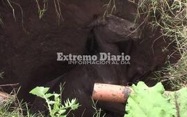 Imagen de Arroyo Seco: Dramático rescate de un caballo