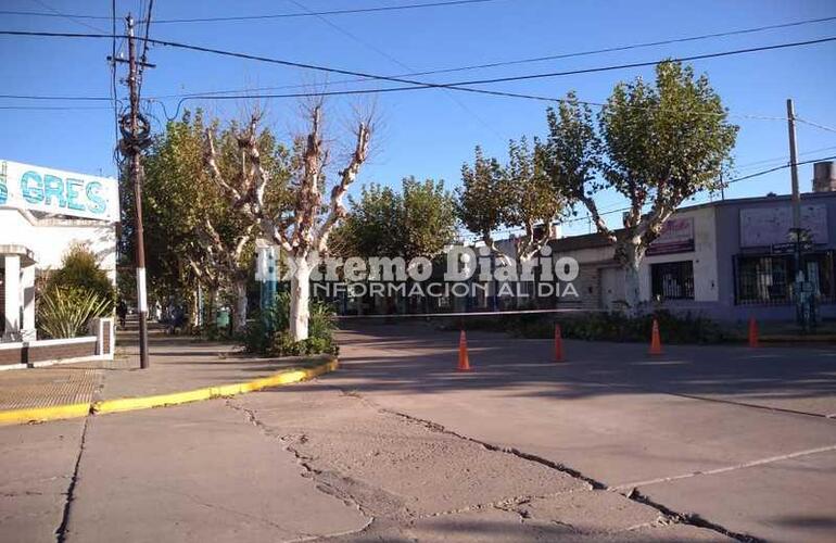 Imagen de Comenzaron los trabajos de escamonda