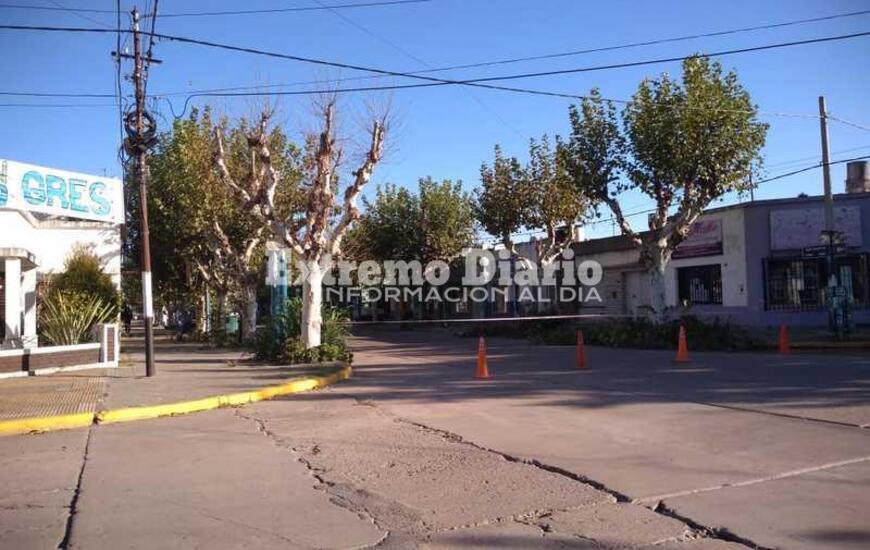 Imagen de Comenzaron los trabajos de escamonda
