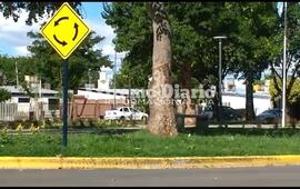 La situaci&oacute;n se di&oacute; en la rotonda De Gi&aacute;como del barrio G&uuml;emes