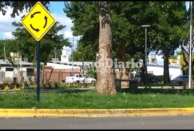 La situación se dió en la rotonda De Giácomo del barrio Güemes