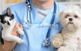 La actividad se realizar&aacute; el pr&oacute;ximo viernes por la ma&ntilde;ana.