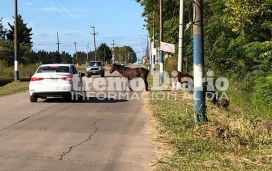Las fotos fueron tomadas esta tarde